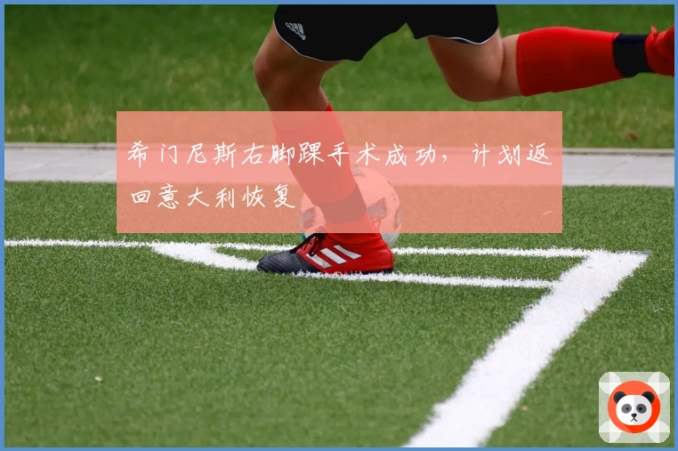 希门尼斯右脚踝手术成功，计划返回意大利恢复