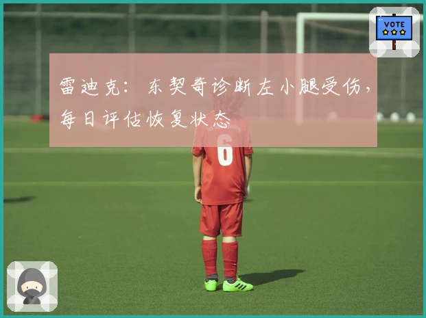 雷迪克：东契奇诊断左小腿受伤，每日评估恢复状态